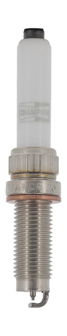 Bujie CHAMPION OE274