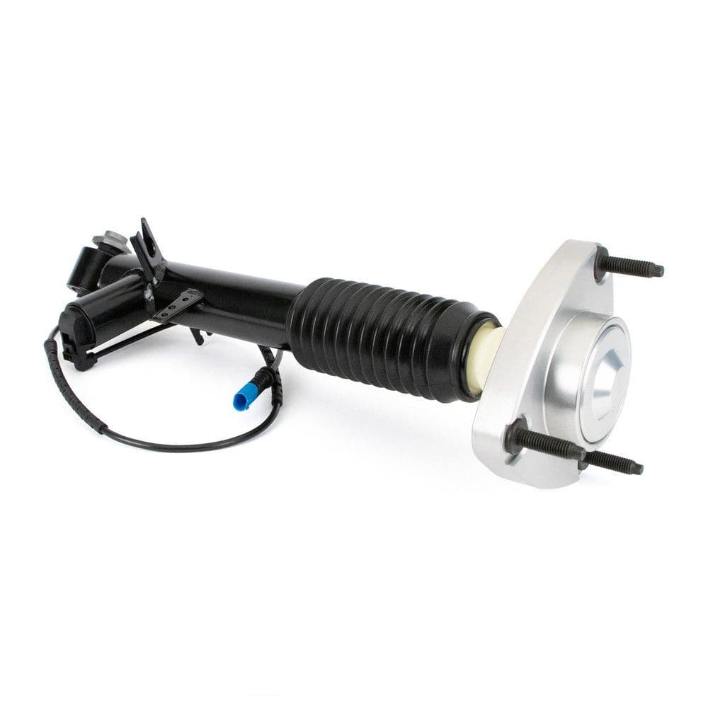 amortizor Arnott SK-3816