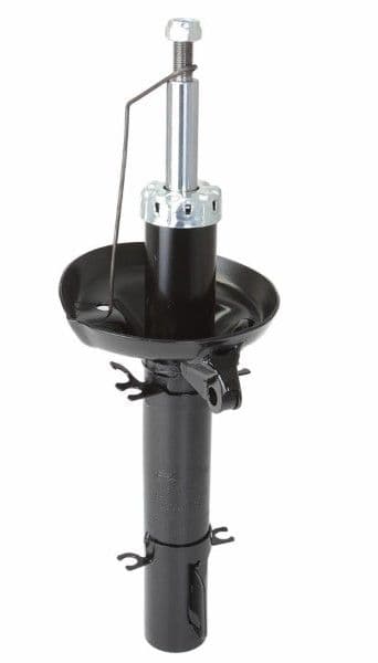 amortizor MTR 12108816