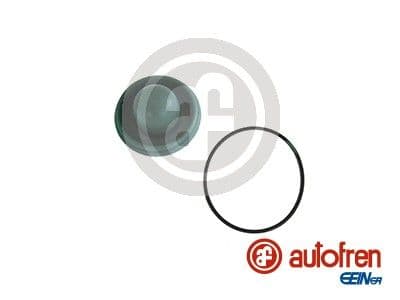 Set reparatie, pompa centrala frana AUTOFREN SEINSA D1286
