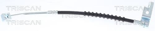 Furtun frana TRISCAN 8150 80113