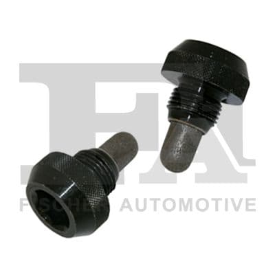 surub de golire,baia de ulei FA1 257.850.001