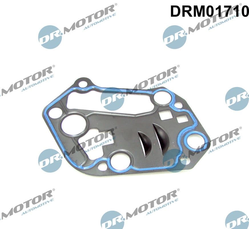 Garnituri, carcasa filtru ulei Dr.Motor Automotive DRM01710