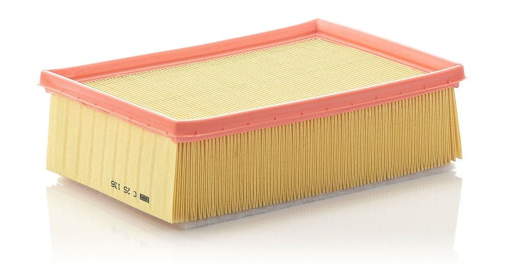 Filtru aer MANN-FILTER C 25 136