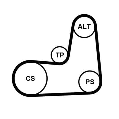 Set curea transmisie cu caneluri CONTINENTAL CTAM 5PK1135K2