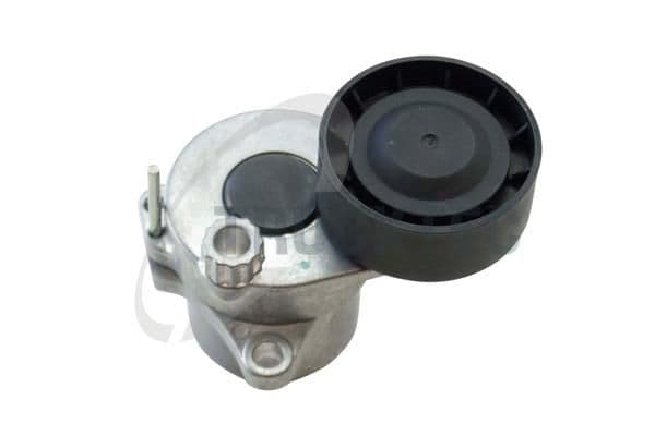 Intinzator curea, curea distributie TRUCKTEC AUTOMOTIVE 02.19.301