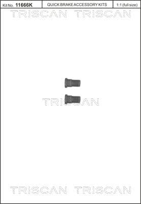 Set surub, disc frana TRISCAN 8105 116007