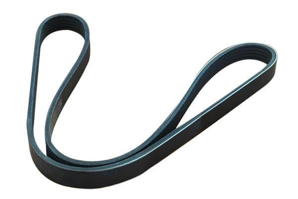 Curea transmisie cu caneluri ASAM AUTOMOTIVE 30691