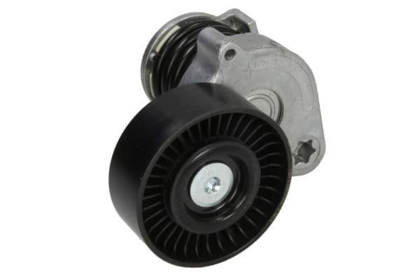 Intinzator curea, curea distributie BTA E3M0006BTA