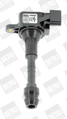 bobina de inductie BorgWarner (BERU) ZSE079