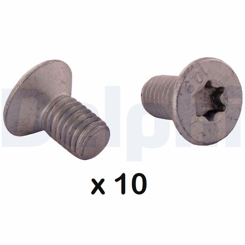 Surub, disc frana DELPHI BGK012