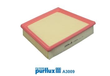 Filtru aer PURFLUX A3009
