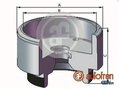 Piston, etrier frana AUTOFREN SEINSA D025721