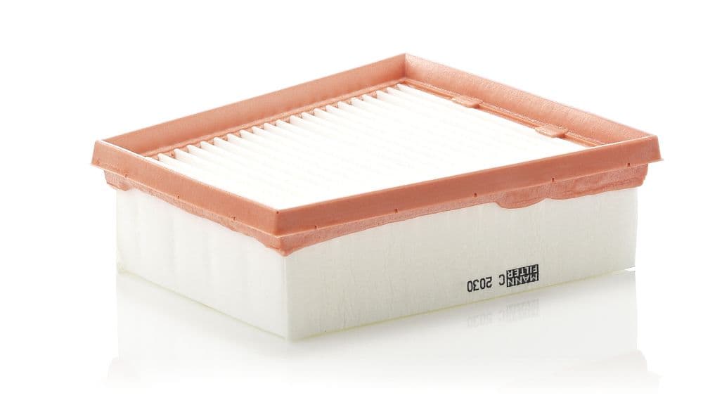 Filtru aer MANN-FILTER C 2030