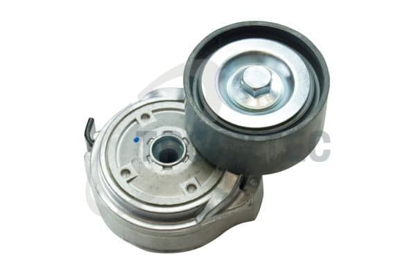 Intinzator curea, curea distributie TRUCKTEC AUTOMOTIVE 05.19.025