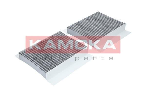 Filtru, aer habitaclu KAMOKA F502501