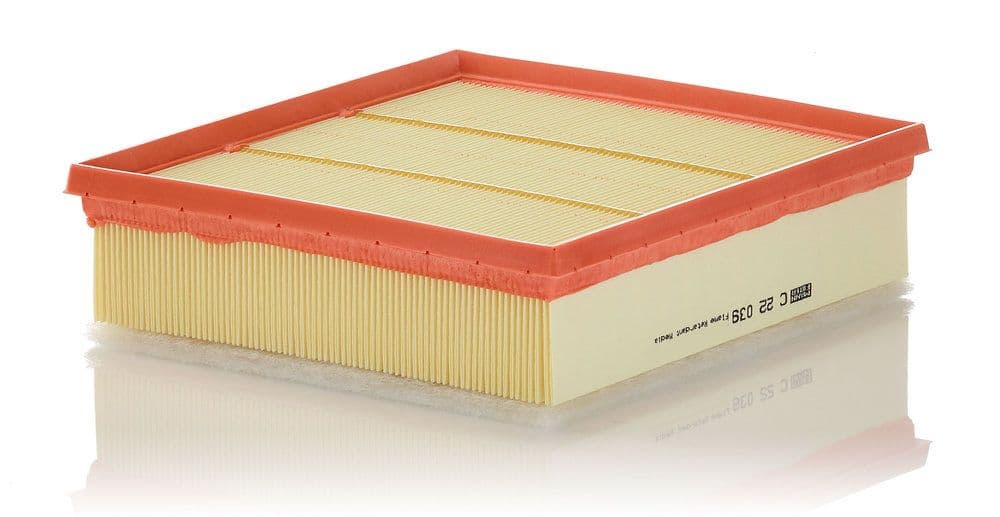 Filtru aer MANN-FILTER C 22 039