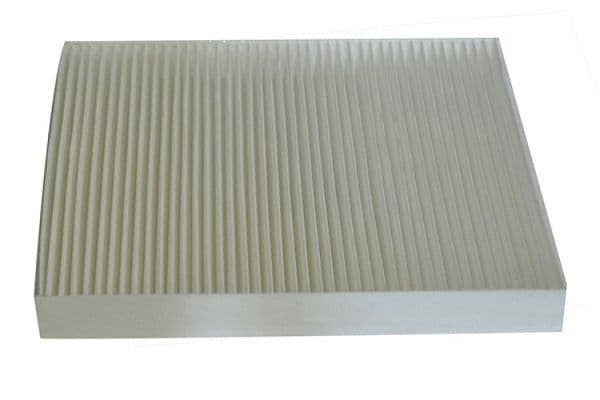 Filtru, aer habitaclu MTR 12135371
