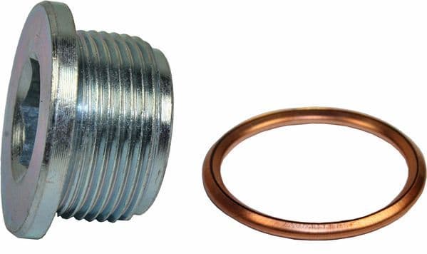 surub de golire,baia de ulei METZGER 8030039