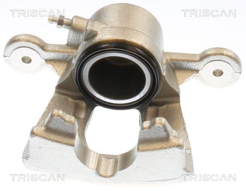 Etrier frana TRISCAN 8175 11118