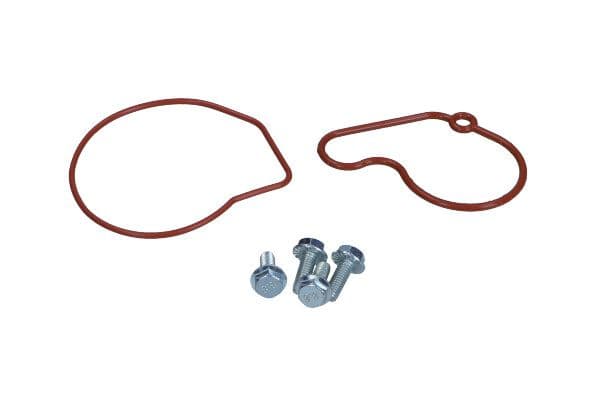 Set reparatie, pompa vacuum (Siste frana) MAXGEAR 27-2017