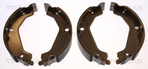 Set saboti frana TRISCAN 8100 43019
