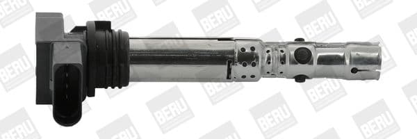 bobina de inductie BorgWarner (BERU) ZSE059