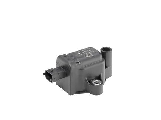 bobina de inductie BERU by DRiV ZS439