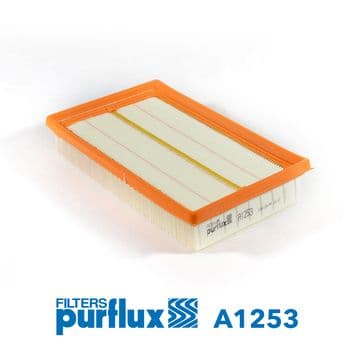 Filtru aer PURFLUX A1253