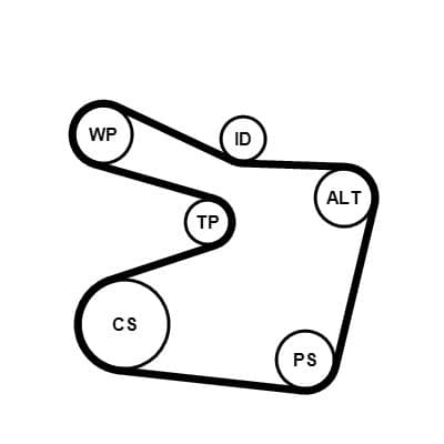 Pompa apa + Set curea transmisie cu caneluri CONTINENTAL CTAM 6PK1555WP1