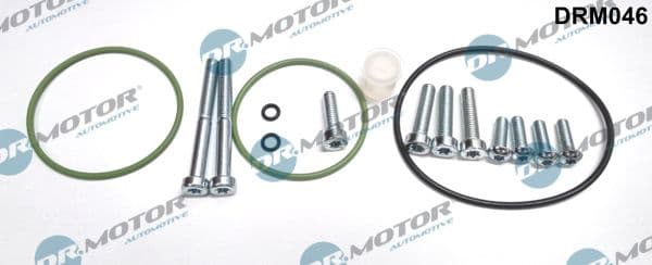 Set reparatie, pompa vacuum (Siste frana) Dr.Motor Automotive DRM046