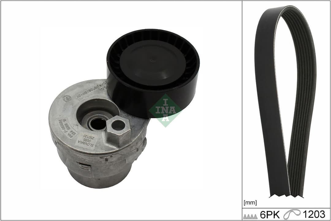 Set curea transmisie cu caneluri Schaeffler INA 529 0009 10