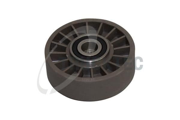 rola intinzator,curea transmisie TRUCKTEC AUTOMOTIVE 02.19.071