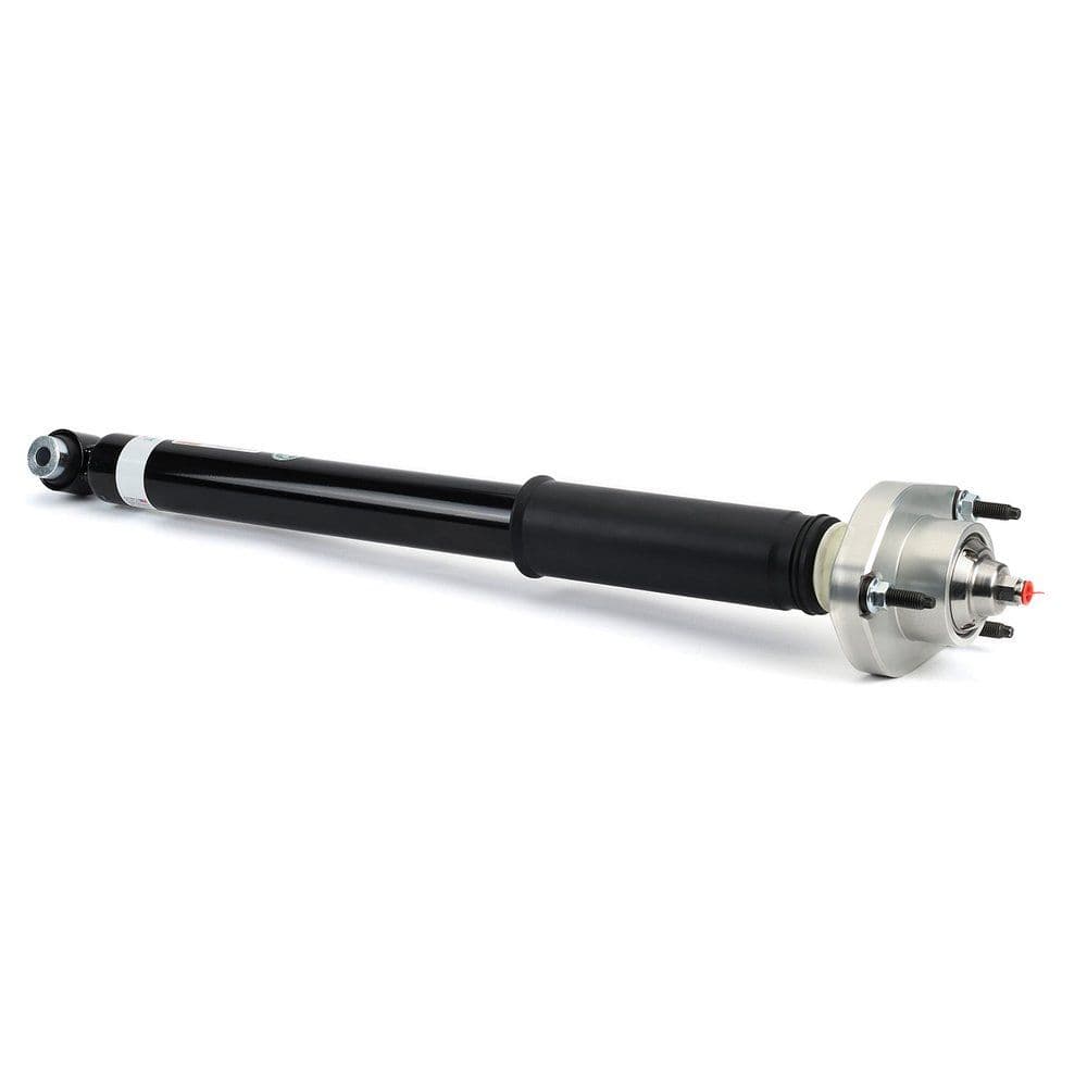 amortizor Arnott SK-3384