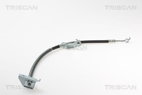 Furtun frana TRISCAN 8150 18176