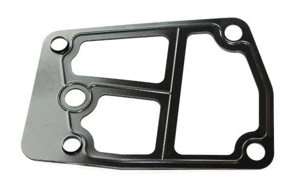 Garnituri, carcasa filtru ulei ELRING 161.911