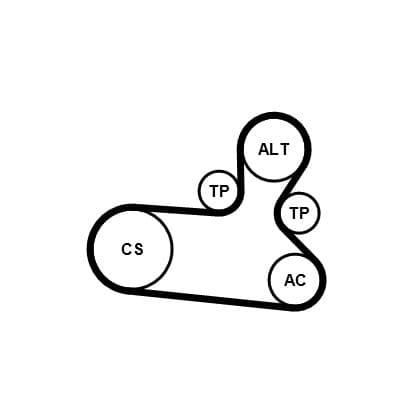 Set curea transmisie cu caneluri CONTINENTAL CTAM 6PK1139 EXTRA K1