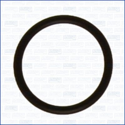 Garnituri, carcasa filtru ulei AJUSA 16015300