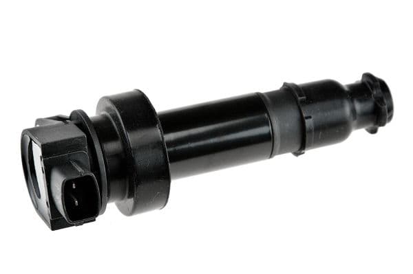 bobina de inductie MTR 12119923