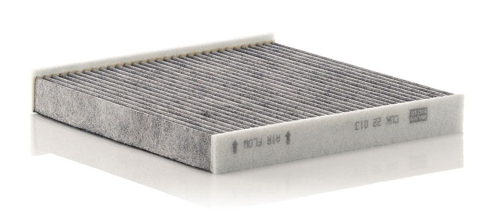 Filtru, aer habitaclu MANN-FILTER CUK 22 013