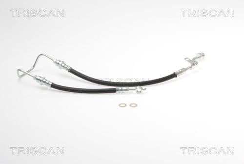 Furtun frana TRISCAN 8150 18111