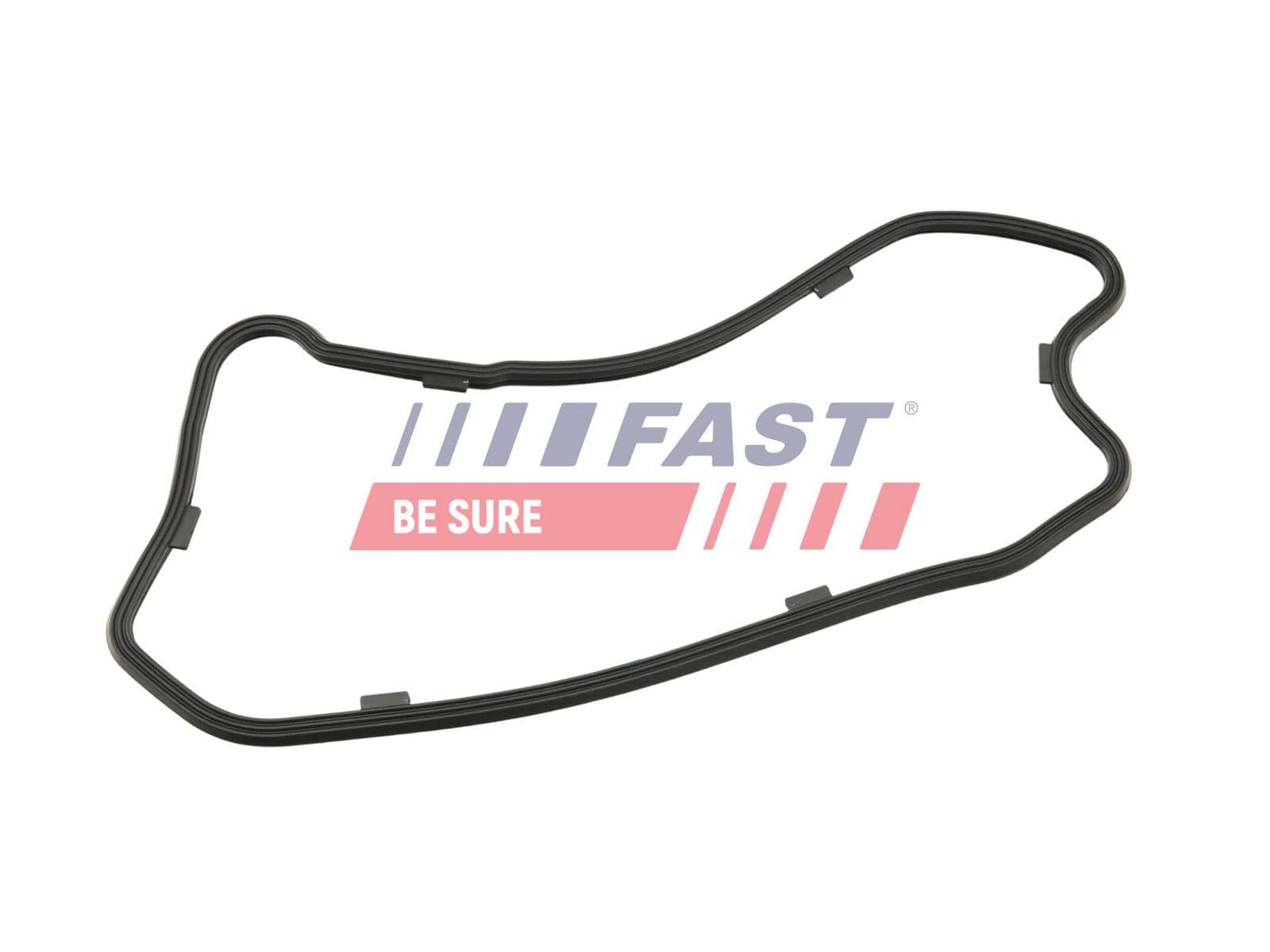 Garnitura baie ulei FAST FT49208