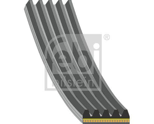 Curea transmisie cu caneluri FEBI BILSTEIN 181286