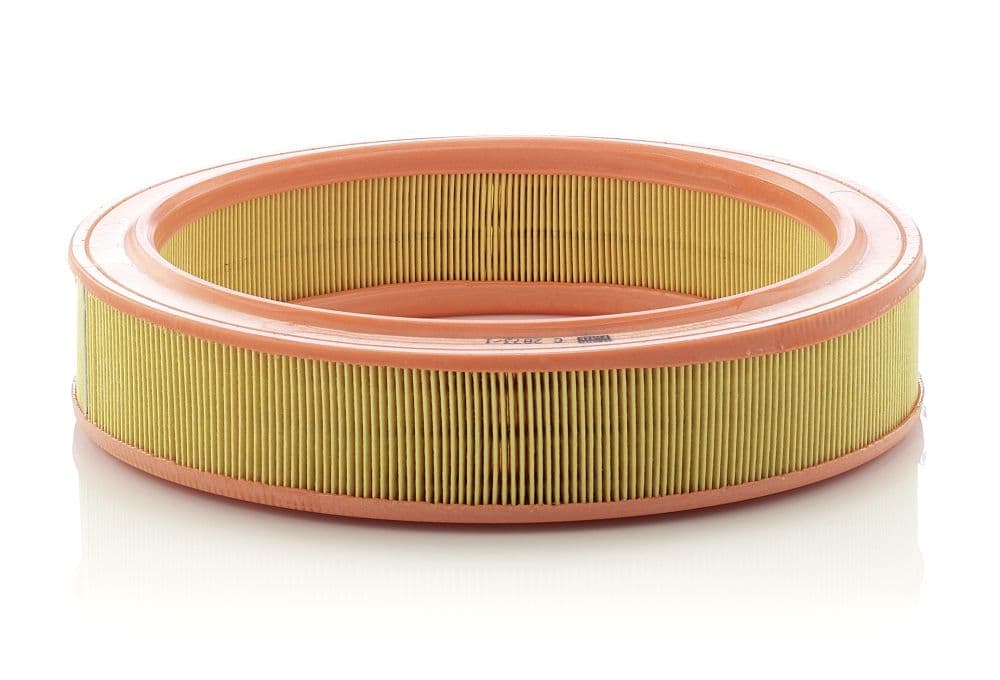 Filtru aer MANN-FILTER C 2873/1