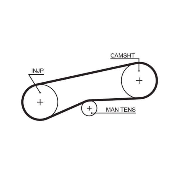 Curea de distributie GATES 5093