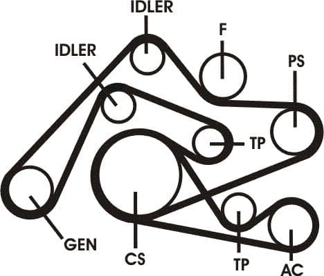 Set curea transmisie cu caneluri CONTINENTAL CTAM 6PK2404D1