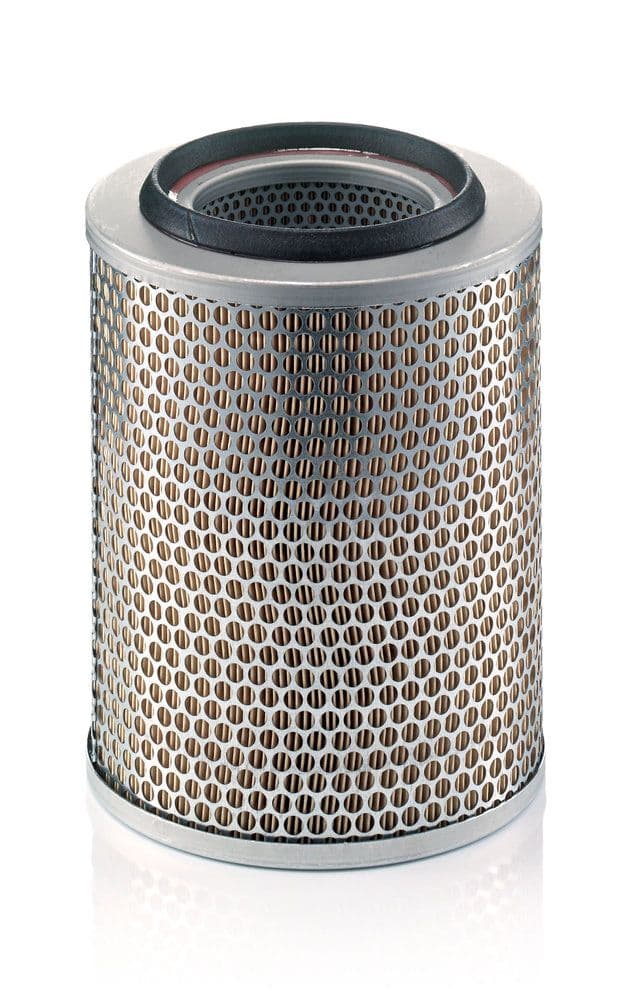 Filtru aer MANN-FILTER C 20 356