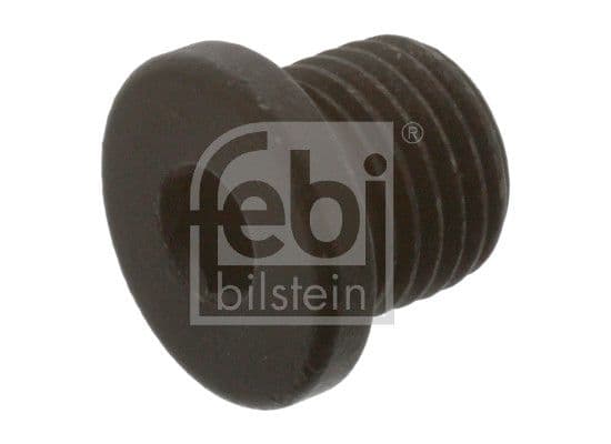 surub de golire,baia de ulei FEBI BILSTEIN 38788