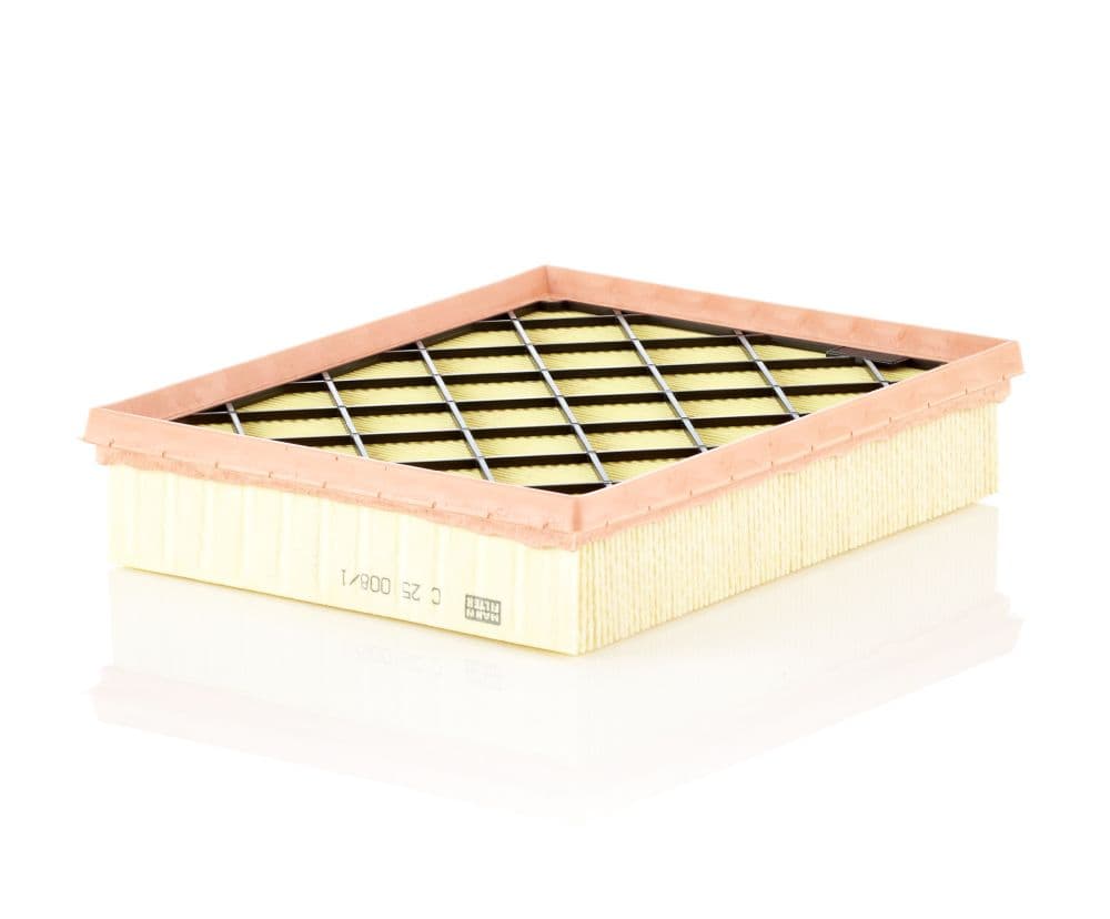 Filtru aer MANN-FILTER C 25 008/1