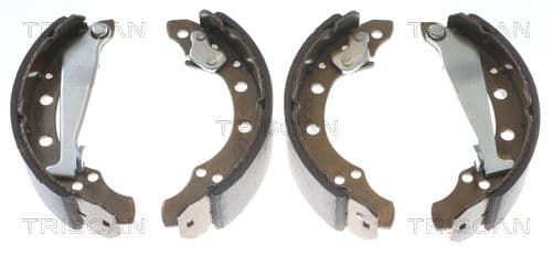 Set saboti frana TRISCAN 8100 29345